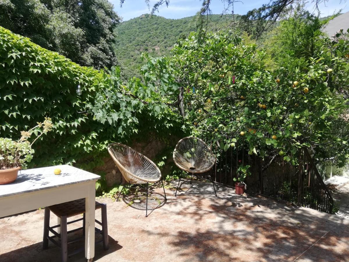 B&B San Gregorio Sinnai Dış mekan fotoğraf